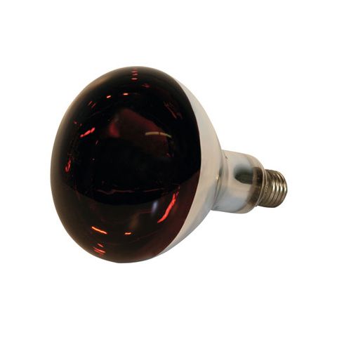 Lampada Riscaldante a Infrarossi 