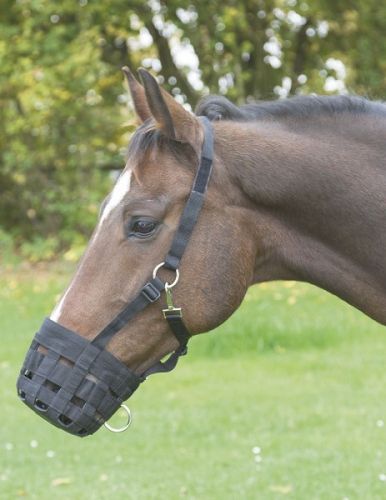 Museruola per cavallo in nylon muzzle for horses 