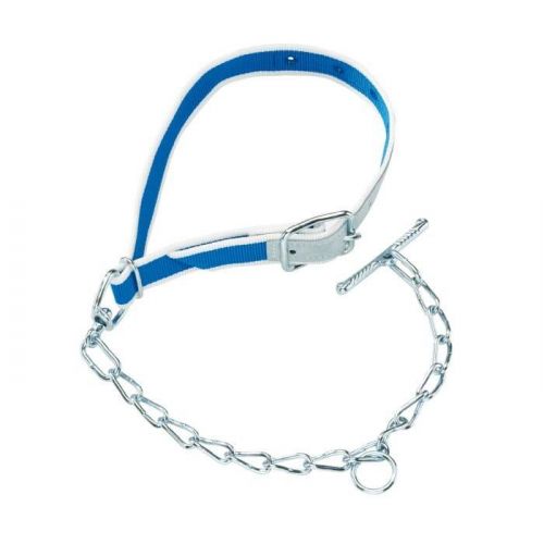 Nylon-Halsband 1M zum Jungtiere