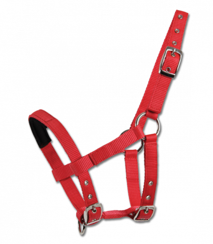 Mini Shetty halter rosso