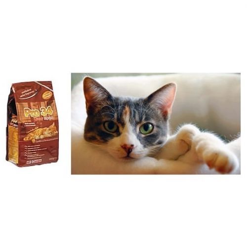 Crancy gatto Pro34D 800g