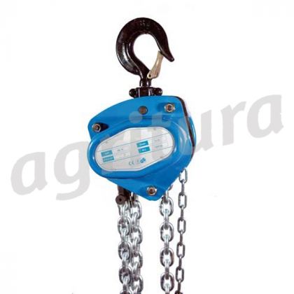 Chain Hoist 1000