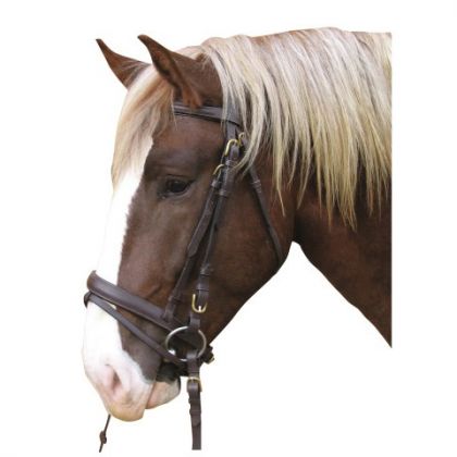 Briglie e accessori Bridle Carthorse