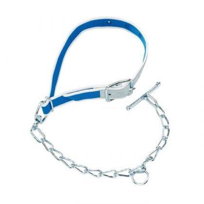 Nylon-Halsband 1M zum Jungtiere