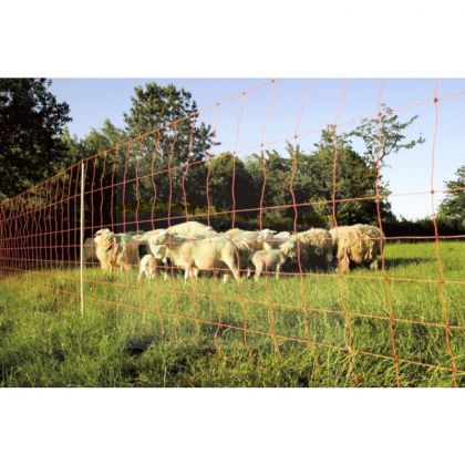 Rete Fissa Plus Per Pecore - 106 Cm x 50 M