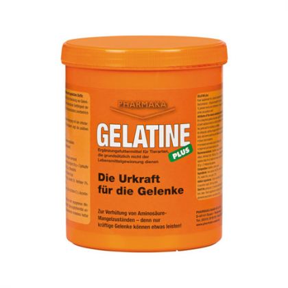 Gelatine Plus-A14953