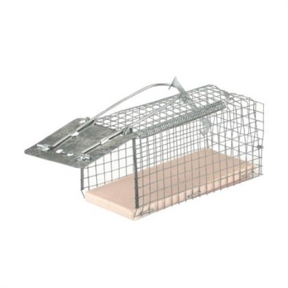 Wire Cage Mouse Trap Alive