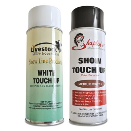 Touch Up Spray