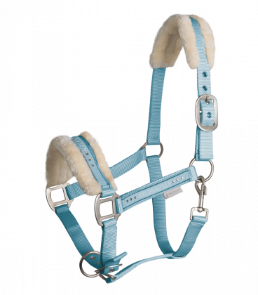 Halter elegante cavallino azzurro