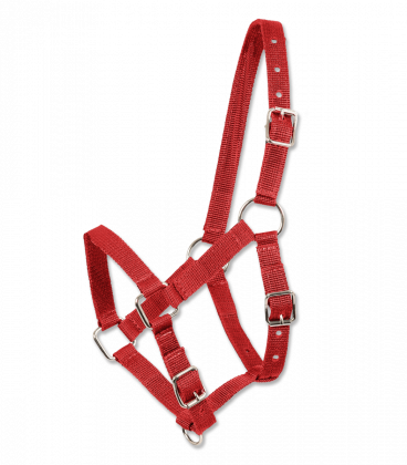 Halter perlon puledro rosso